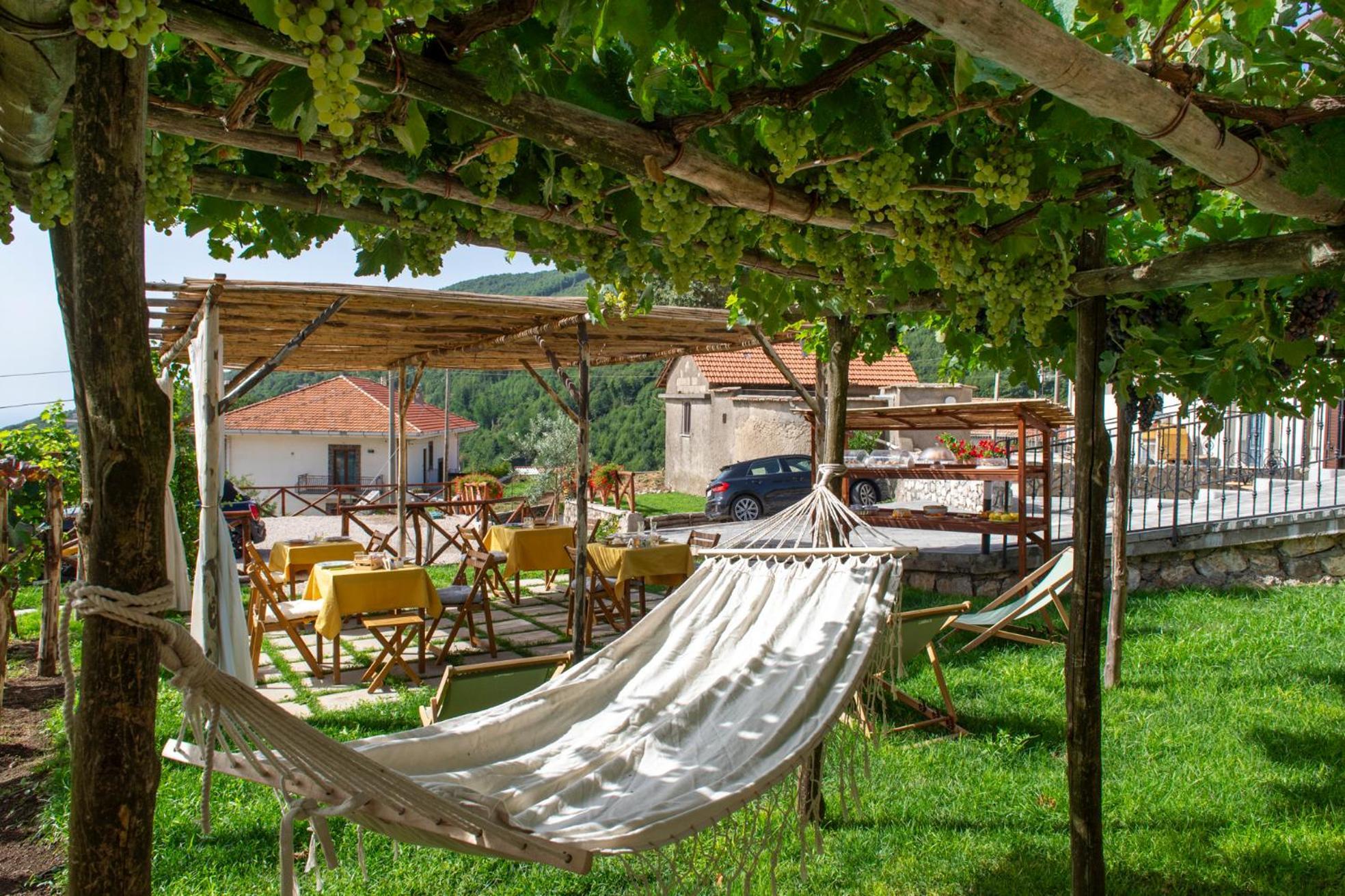 Bed and Breakfast Il Vigneto Di Nonno Pietro Agerola Exterior foto